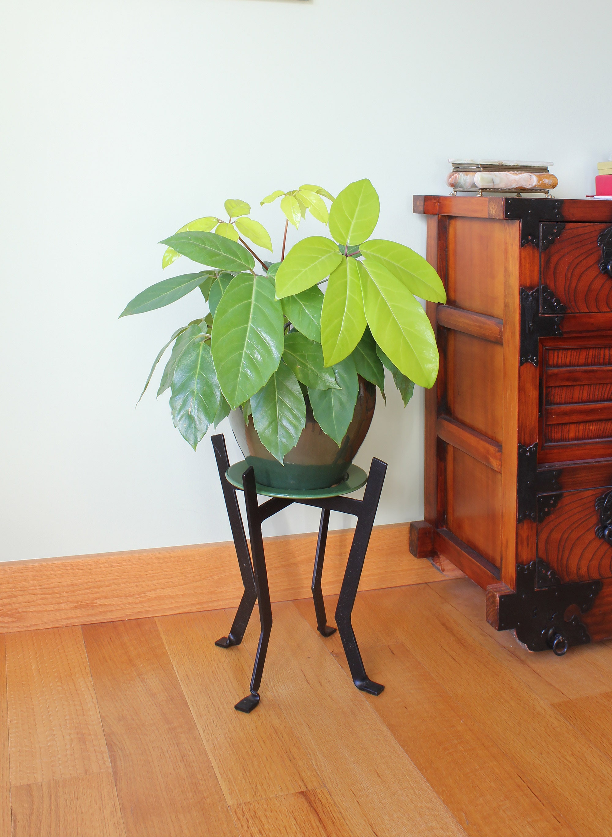 Plant Stand Indoor, Mid Century Metal Plant Stands Table For Flower Pots,  Tall Plant Holder, Side End Table For Window Balcony Garden - Temu