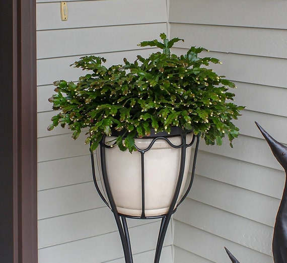 Williamsburg Fern Stand Plant Flowerpot Holder Indoor/outdoor - Etsy