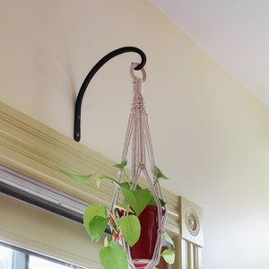 May include: A black metal plant hook mounted on a wall, supporting a macrame plant hanger. The hanger holds a red pot with a green leafy plant. The hook is curved and has a decorative design.