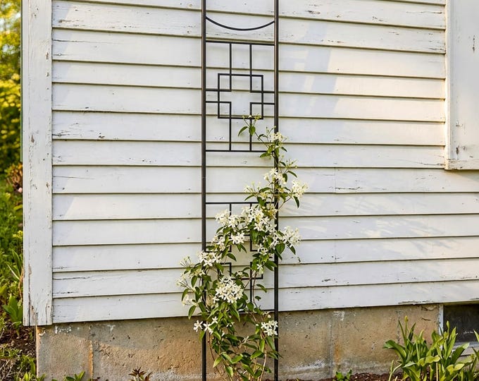 Slim Wrought Iron Trellis,  Free-Standing for Garden, 96"H x 18"W