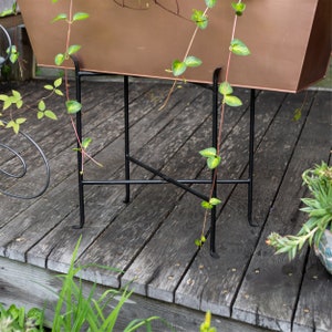 May include: A copper planter with a black metal stand. The planter is sitting on a wooden deck and has a vine growing out of it.