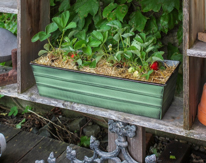 22" Green Flower Windowbox Planter, Rectangular