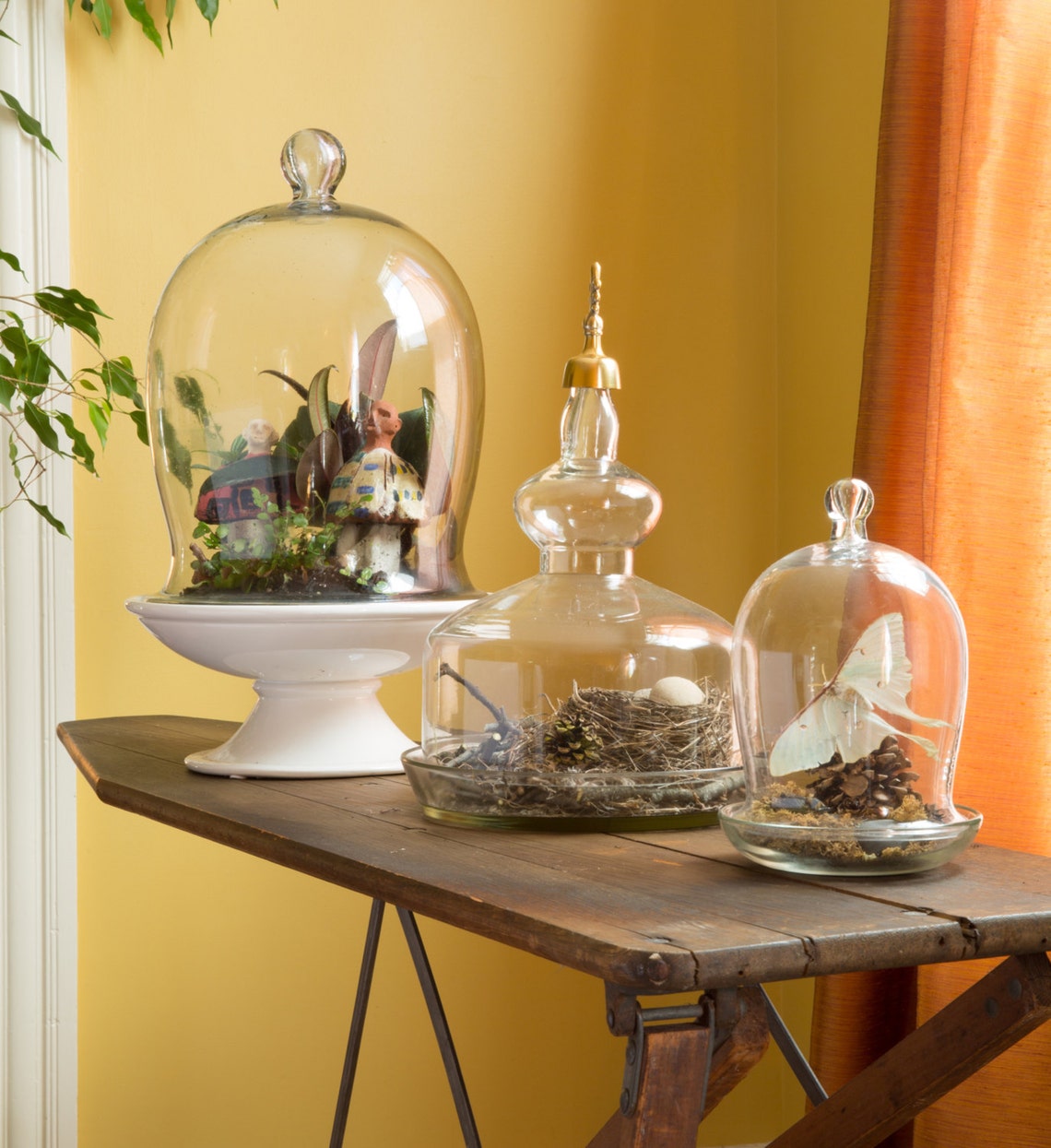 Mini Bell Jar 8 inch H Etsy