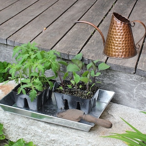 May include: A metal watering can with a hammered copper finish, a small trowel, and three black plastic plant trays with seedlings. The trays are sitting on a grey stone surface.