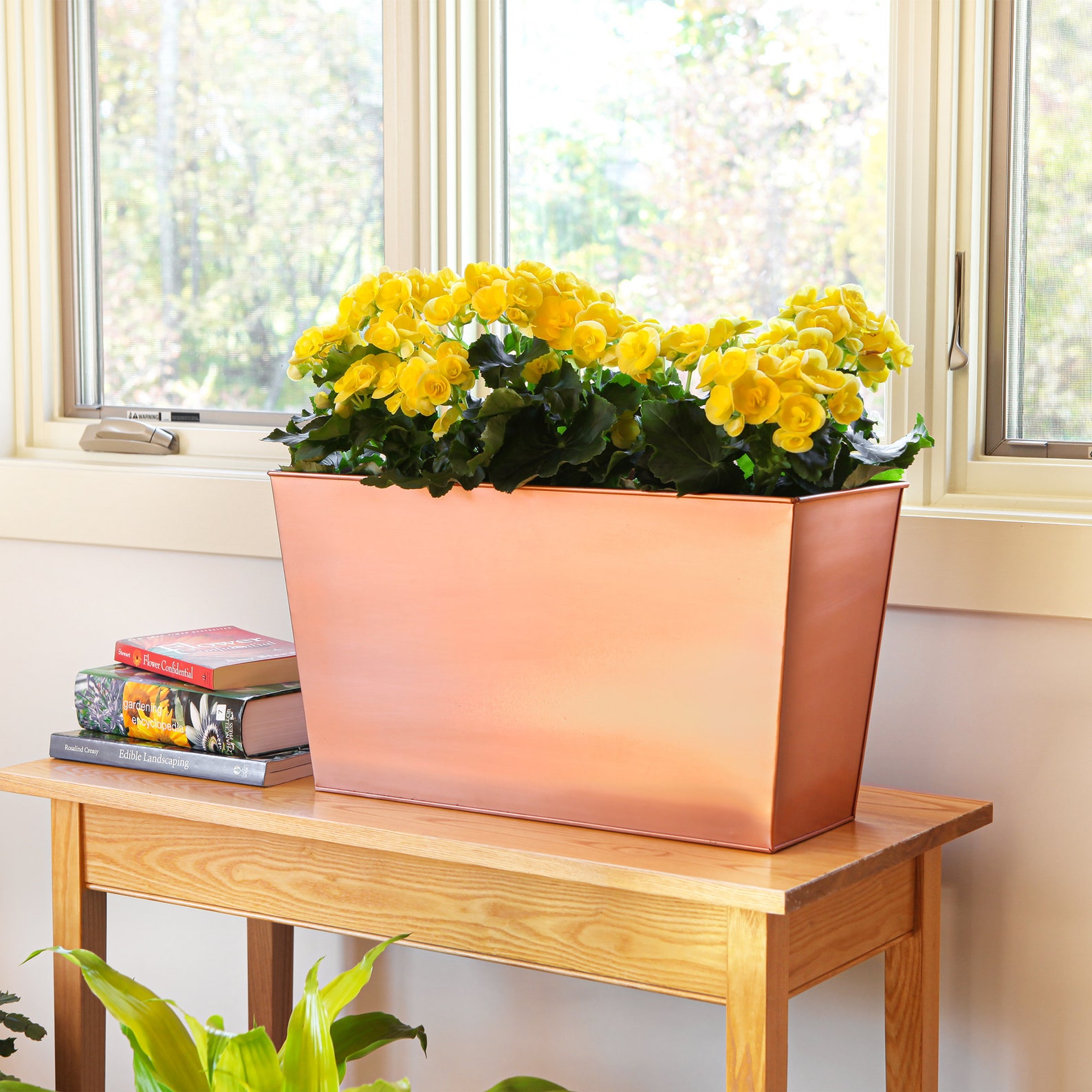 Tall Copper Flower Window Box Planter 12 Deep Etsy