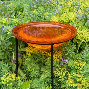 12 Tangerine Crackle Glass Birdbath Bowl With Wrought - Etsy