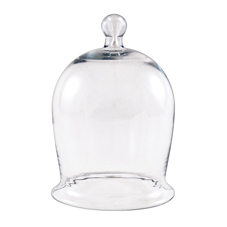 Mini Bell Jar 8 inch H Etsy