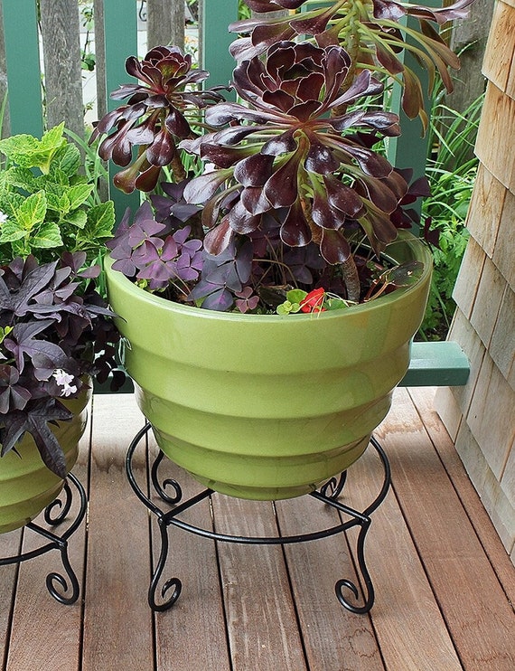 Set of 2- Short 6"h Piazza Low Wrought Iron Plant Stands Indoor/outdoor -  Etsy
