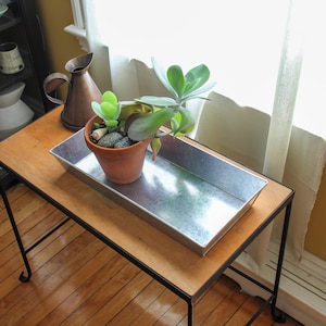 May include: A succulent plant in a terracotta pot sits in a galvanized metal tray on a wooden table with black metal legs. The plant is in a bright, sunny room with a white window curtain.