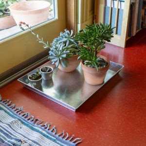 May include: A silver tray with four potted succulents. The tray is on a red floor with a blue and white rug in the foreground.