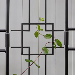May include: A black metal trellis with a geometric design, featuring a green vine growing through the open spaces.
