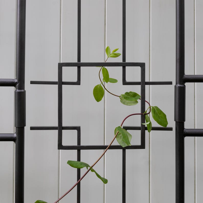 May include: A black metal trellis with a geometric design, featuring a green vine growing through the open spaces.