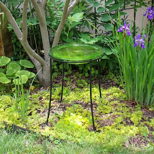 14" Lush Green Crackle Glass Birdbath Bowl with 18" Tall Wrought Iron Ring Stand