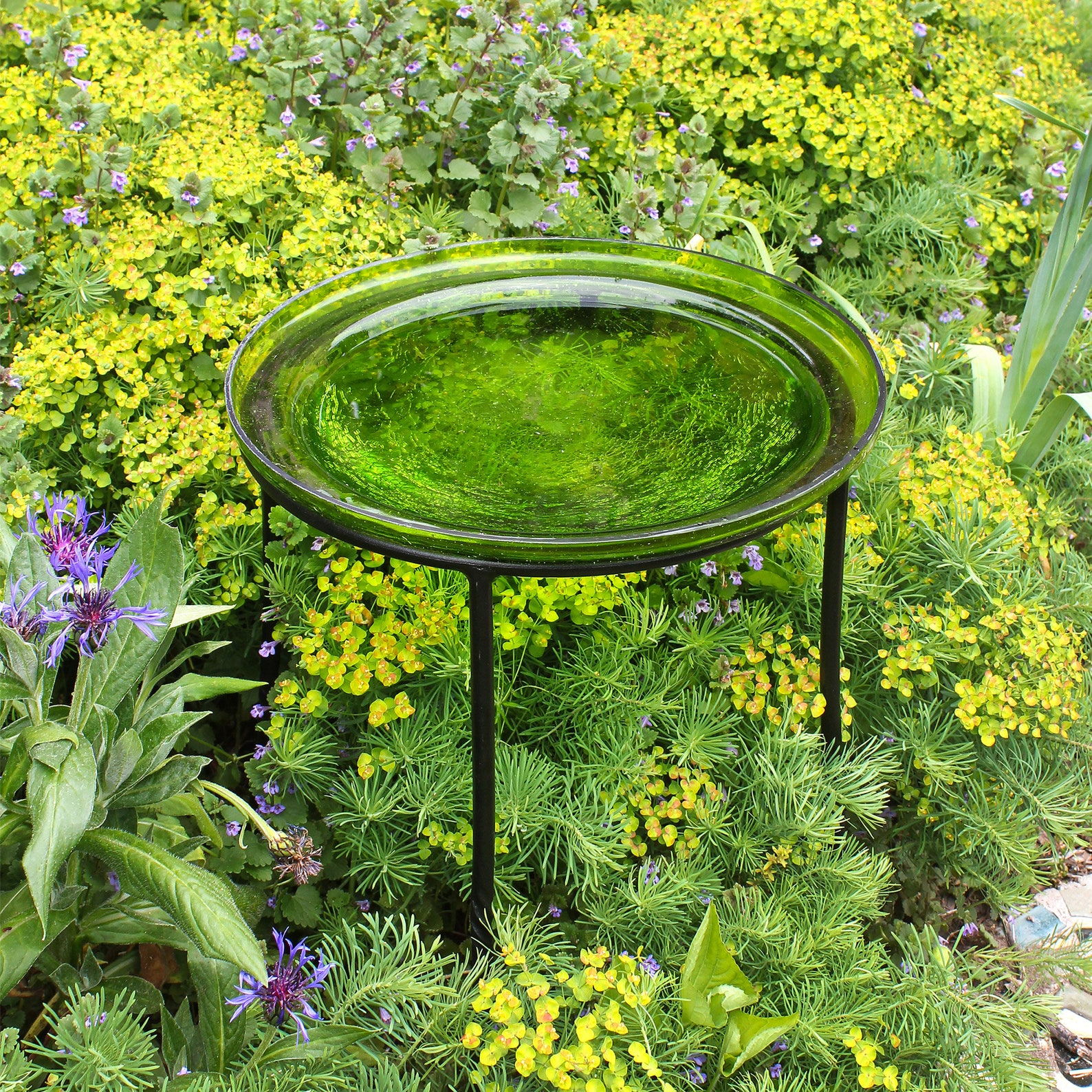 12 Lush Green Glass Birdbath Bowl With Wrought Iron Ring - Etsy