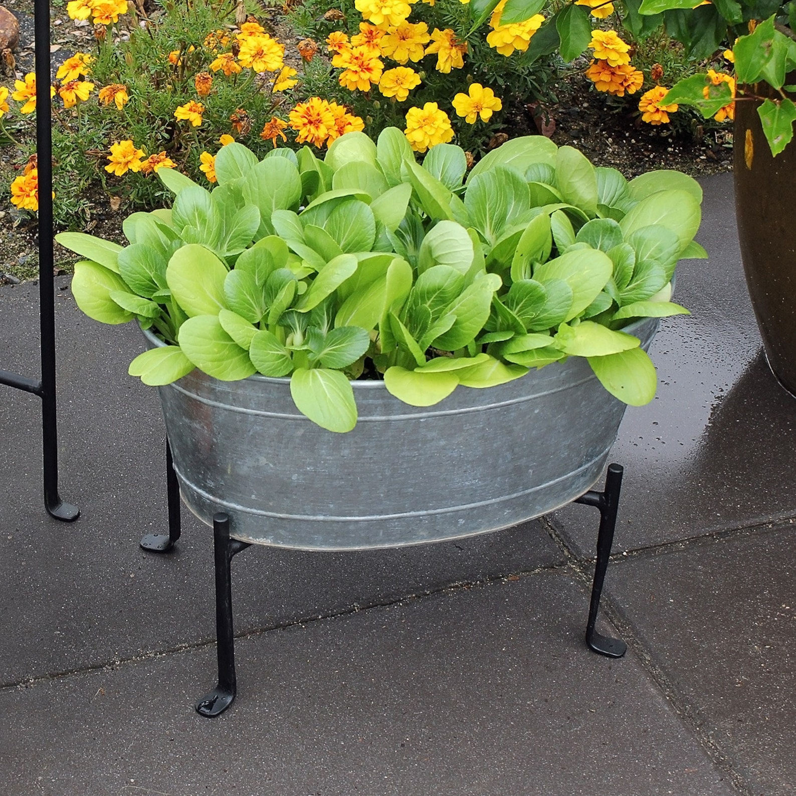 Set of 2galvanized Steel Oval Tubs for Planter Ice Bucket Etsy
