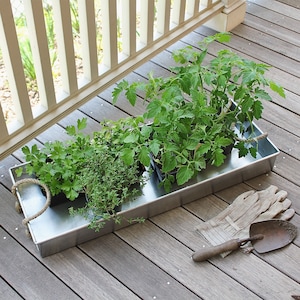 May include: A silver metal tray with four potted plants. The plants are a variety of herbs and vegetables. The tray is sitting on a wooden deck.