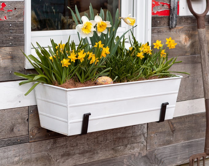 24"L Whitewash Wall-Mount Window Box Planter and Brackets