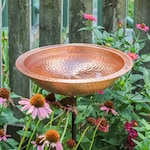 Bird Bath