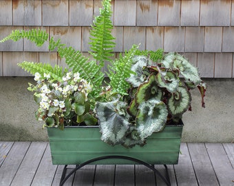 24"L Green Flower Box Planter with Modern Stand