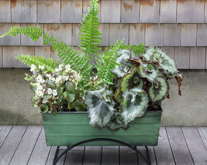 24"L Green Flower Box Planter with Modern Stand