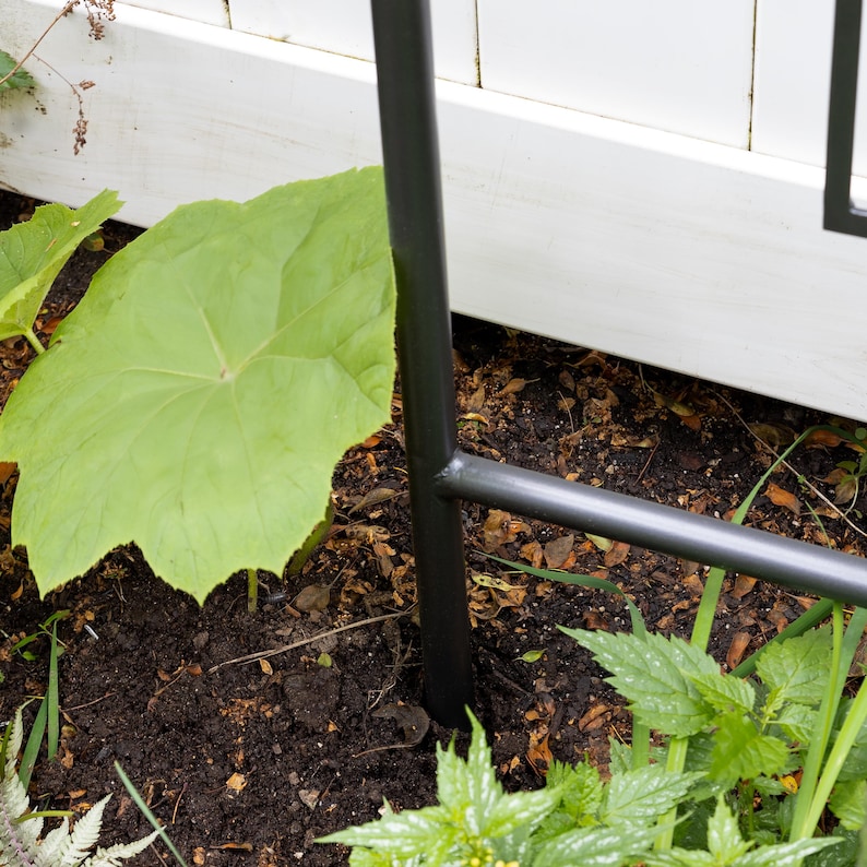 May include: Close-up of a black metal garden trellis being installed in the ground. The trellis is partially inserted into the soil, with the bottom of the trellis visible. The trellis is made of sturdy metal and has a simple design.