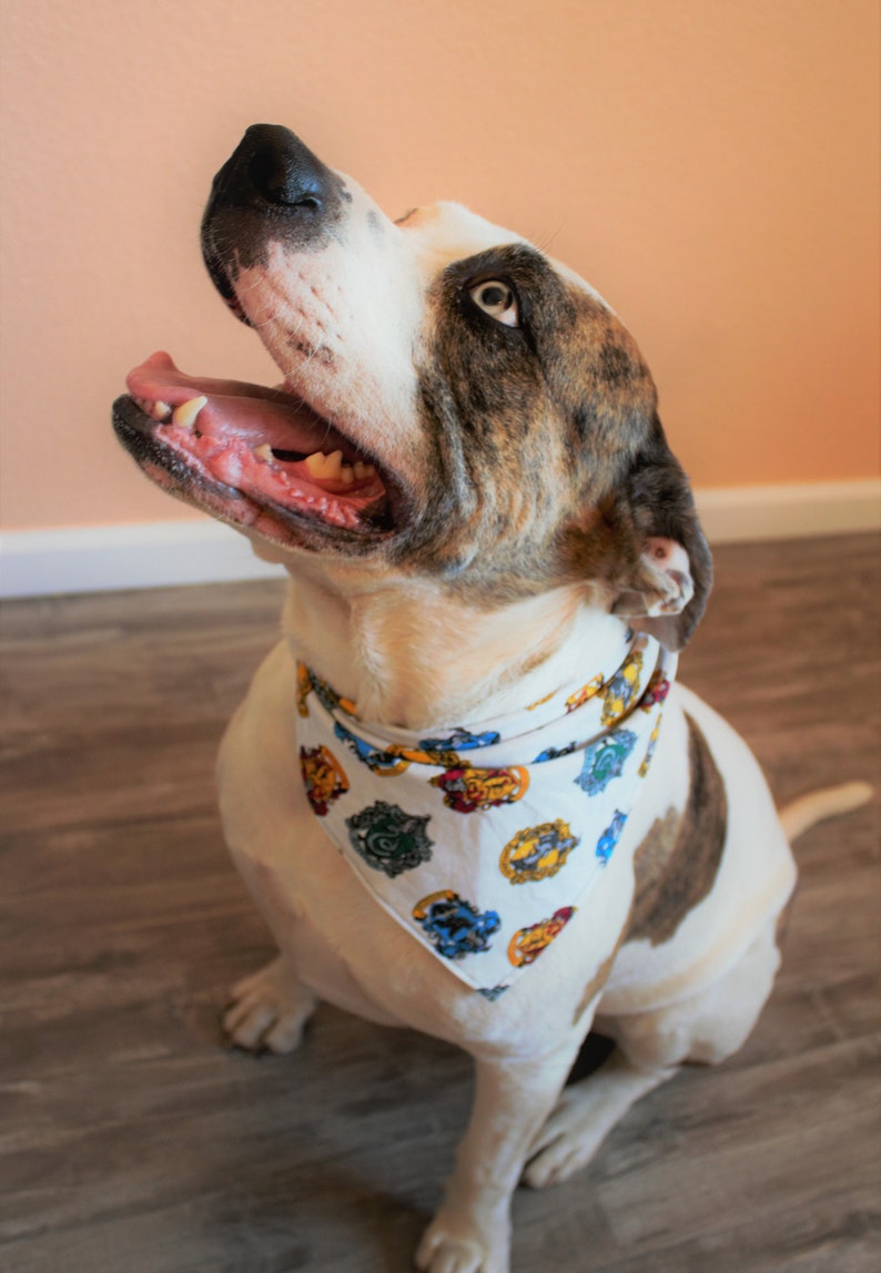 MULTIPLE OPTIONS DISNEY Dog Bandanas Reversible Dog Bandanas Etsy