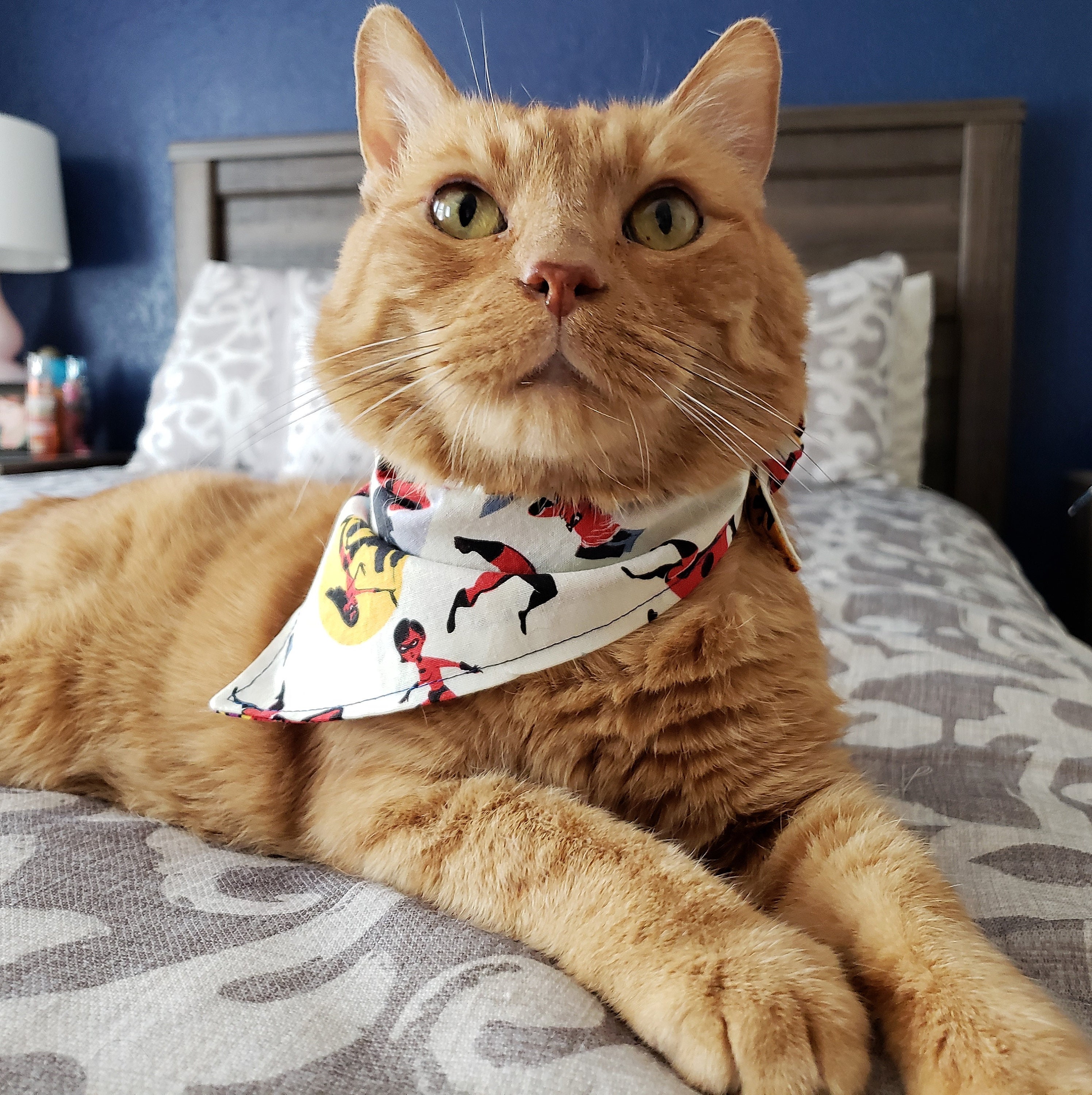 MULTIPLE OPTIONS DISNEY Dog Bandanas Reversible Dog Bandanas Etsy