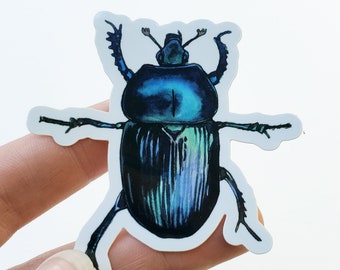 Scarab Beetle | Holo Finish