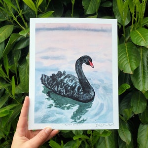 Black Swan | Giclee Print | 5x7, 8x10