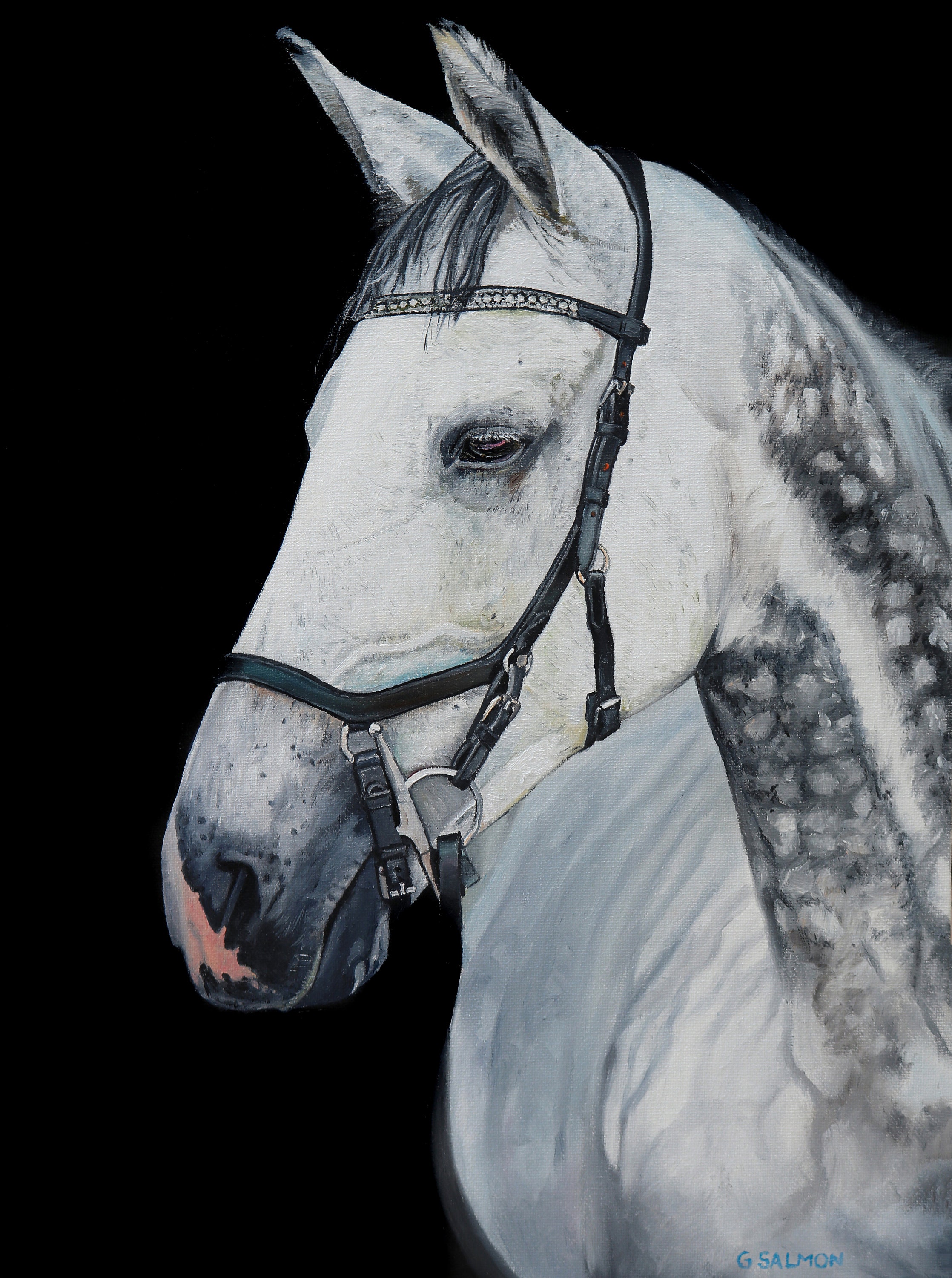 Dapple Grey Thoroughbred (oil painting, 2021)