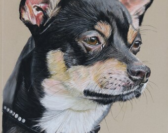 Prague Ratter dog portrait (A4 size pastel drawing on pastelmat paper)