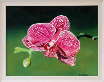 Phalaenopsis Orchid (Framed oil painting, 2018)