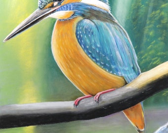 Kingfisher (A4 size pastel drawing on pastelmat paper)