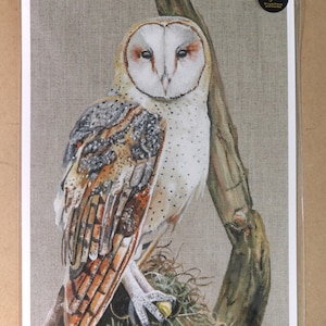 Barn Owl in a tree A4 size fine art print