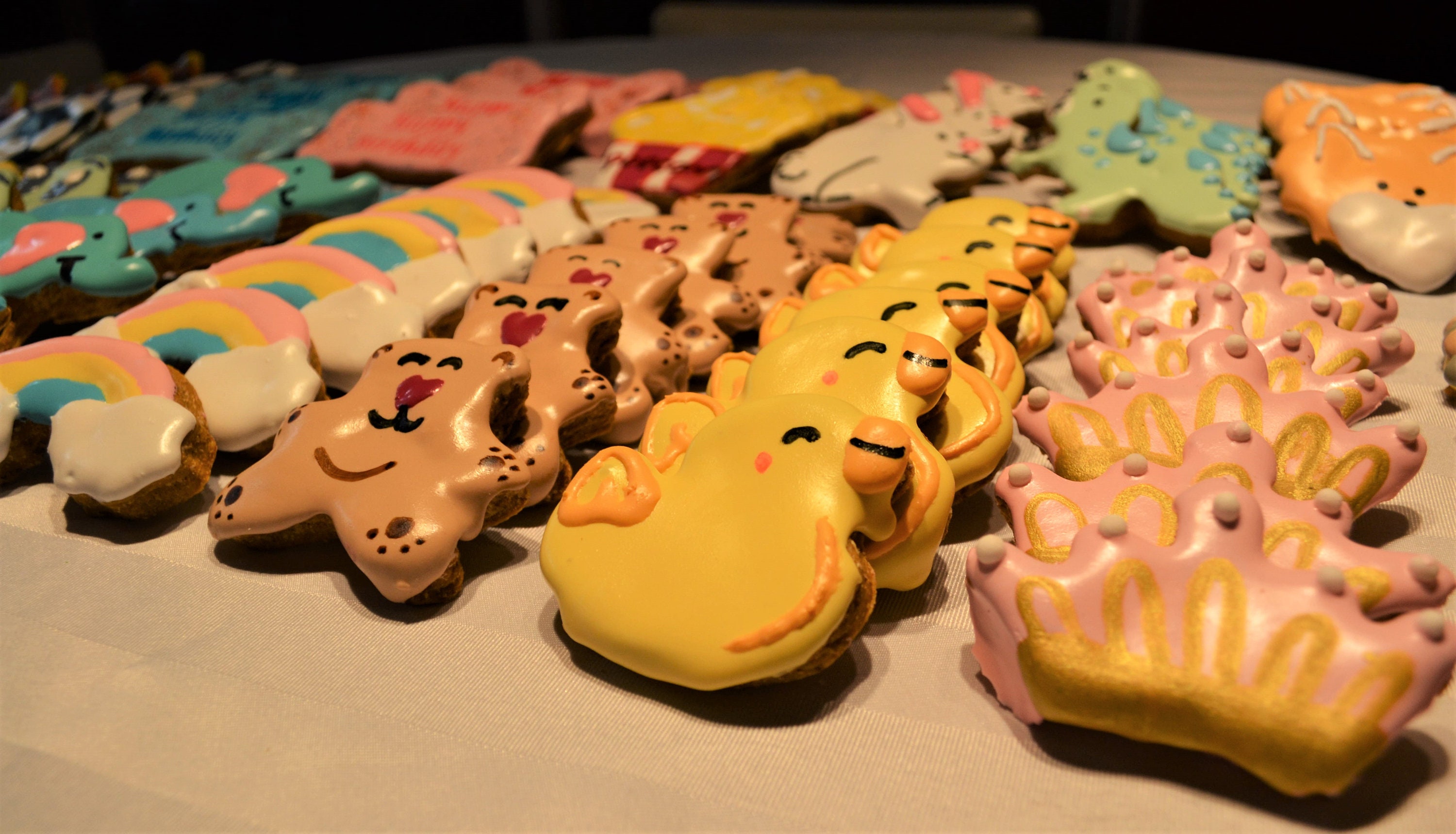 100 BULK Dog Treat Cookies /wholesale Cookies /discounted Dog Etsy Canada