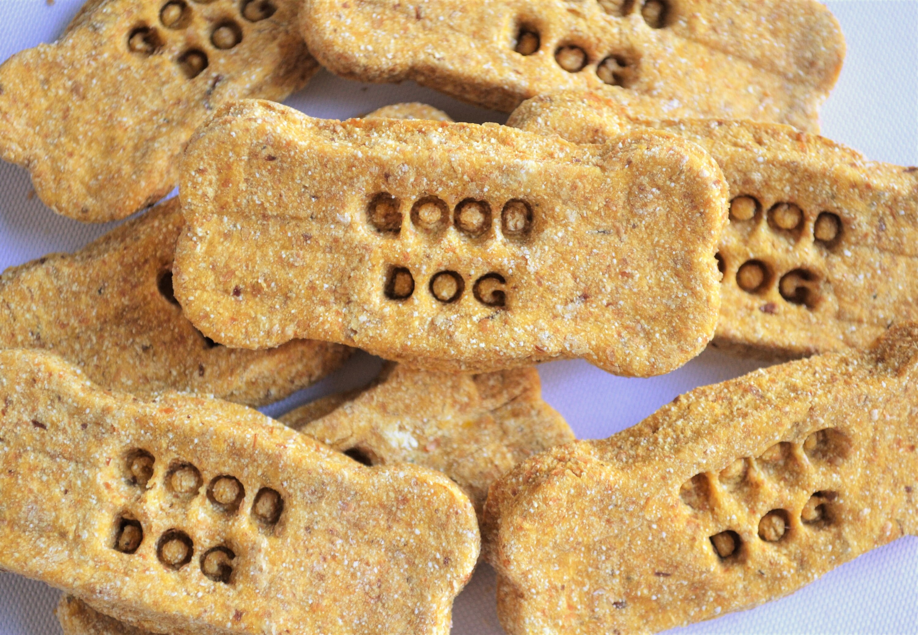 is-chickpea-flour-safe-for-dogs