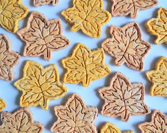 Gourmet Autumn Leaves Dog Biscuits /Gourmet Pet Treats /Natural Dog Treats /Gift for Dog /Pumpkin Dog Biscuits /Fall Dog Treats