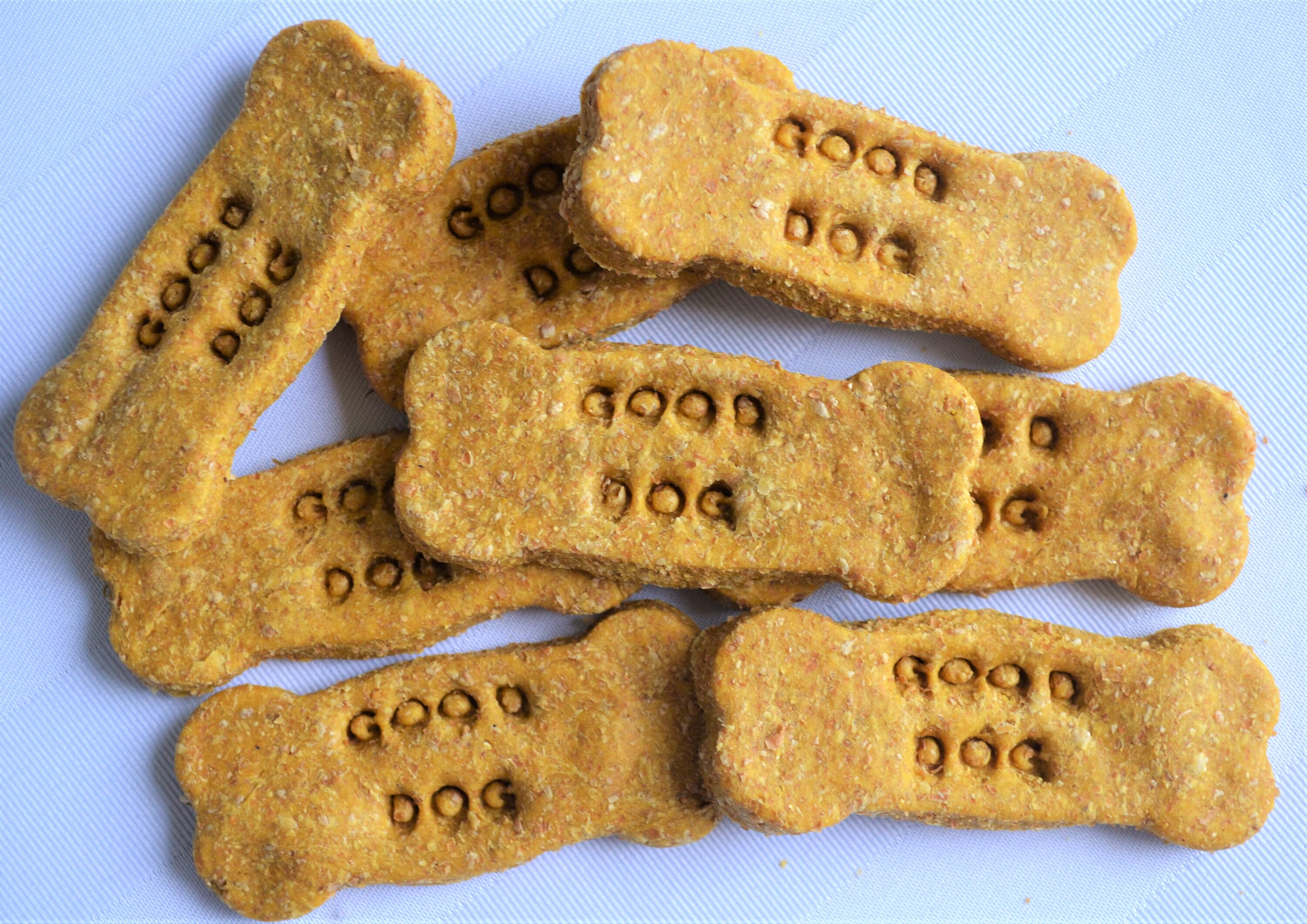 dog bone biscuit