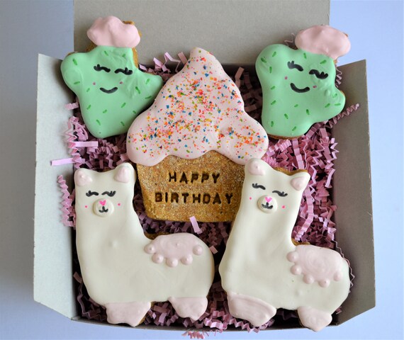 Dog birthday cookies near me 2025