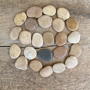24 Flat Beach Stones: Natural Sea Pebbles for Crafts & Mosaics (0.98-1.58 inches)