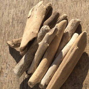 14 Beach Driftwood Sticks: Natural DIY Craft Supplies (3.54-6.1&quot;)