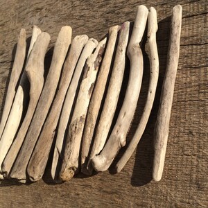 12 Beach Driftwood Sticks: Natural DIY Craft Supplies (5.5-7.5 inch)