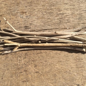 Driftwood Sticks: 11 Natural Pieces for Coastal Decor & DIY Crafts