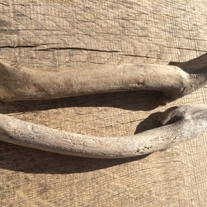 Natural Black Sea Driftwood: DIY Coastal Decor, Crafts - Set of 2