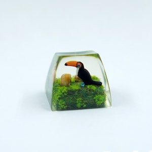 May include: A toucan figurine inside a clear resin keycap. The toucan is perched on a small bed of green moss with a brown rock. The keycap is a square shape with rounded edges.