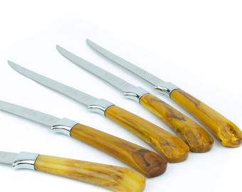 Mid Century Steak Knives, Mid Century Mad Men Vintage Cutlery, BBQ Knives, Glo Hill Bakelite Steak Knife Set, Steakmates