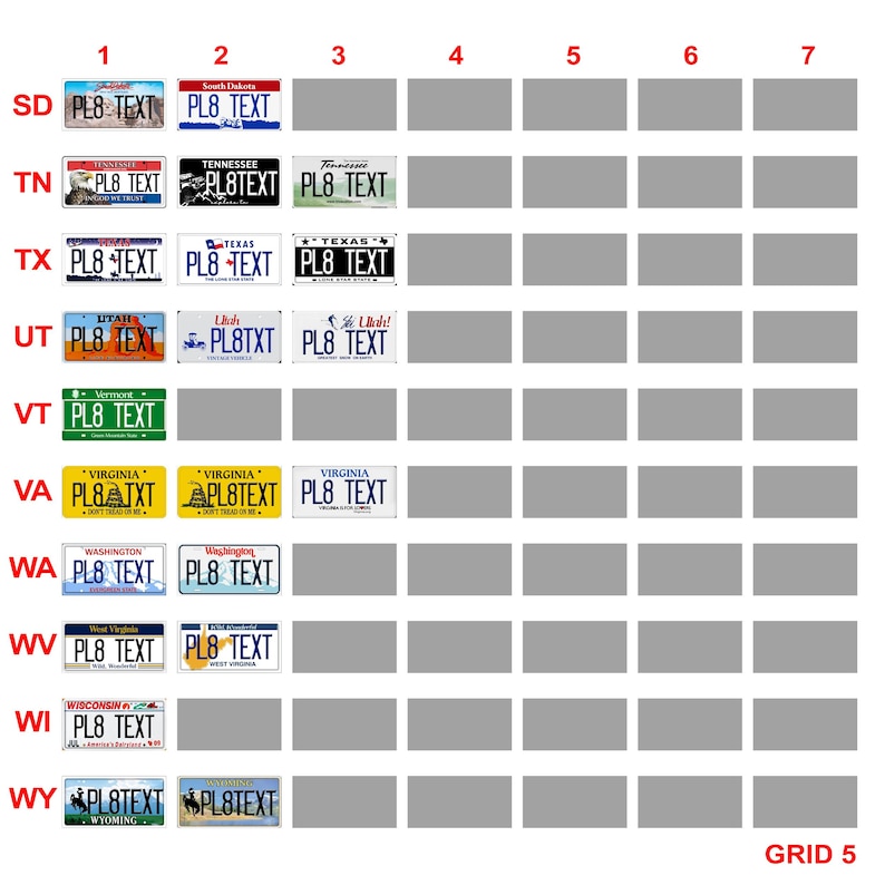 RC Car USA Licence Plates – American Scale Number Plate Accessories 1/5 1/8 1/10 1/12 1/14 1/18 1/24 image 7