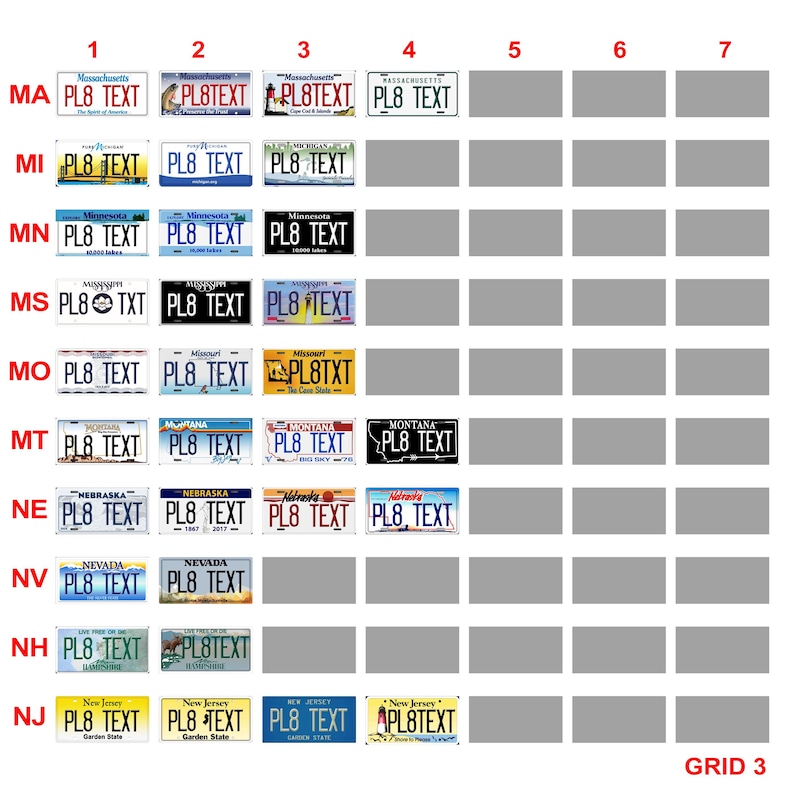 RC Car USA Licence Plates – American Scale Number Plate Accessories 1/5 1/8 1/10 1/12 1/14 1/18 1/24 image 5