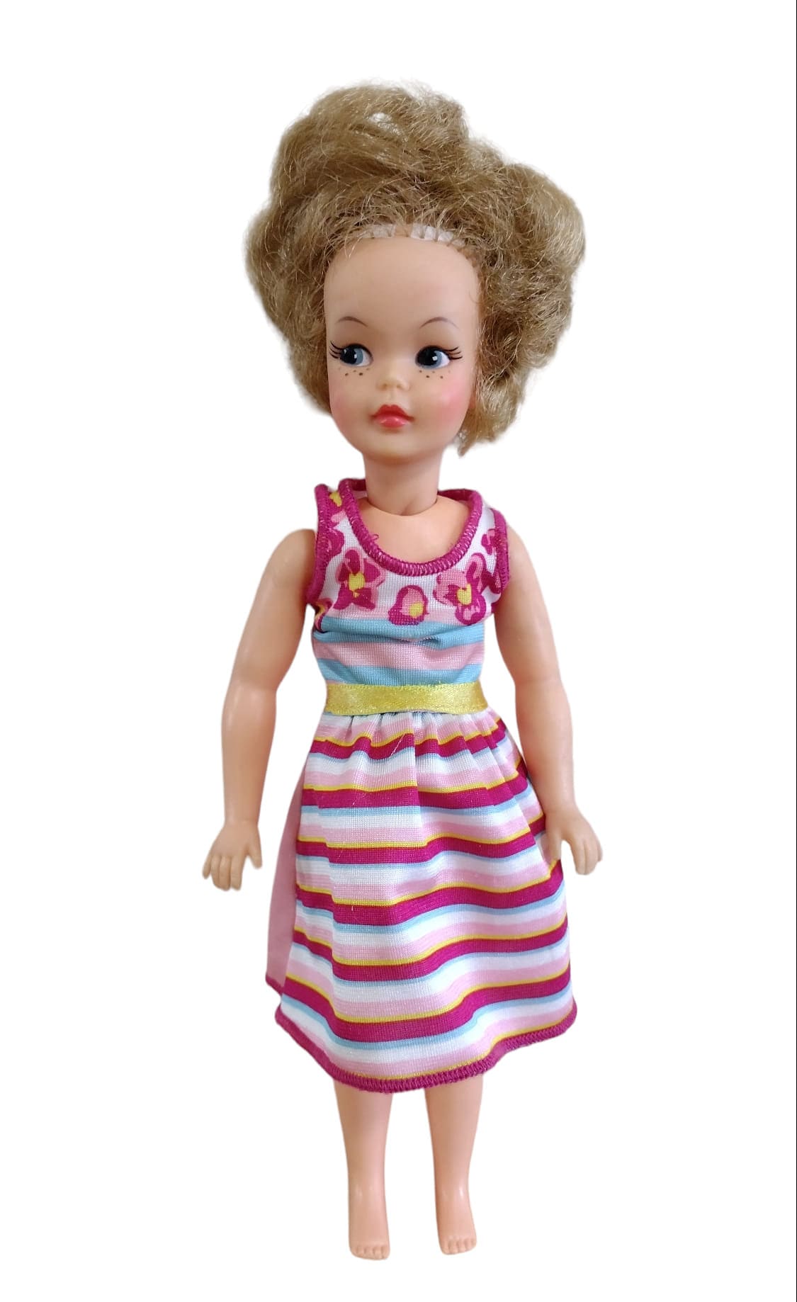 アート・デザイン・音楽 Tammy and Her Family of Dolls Tammy and Her Family of Dolls: Identification & Price Guide