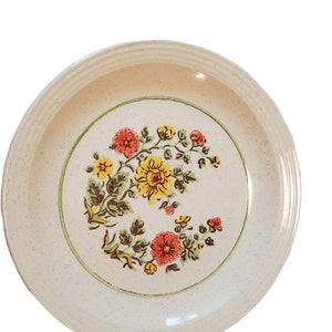 1980 Homer Laughlin Luncheon Plates in the Floral Pattern Set of 2